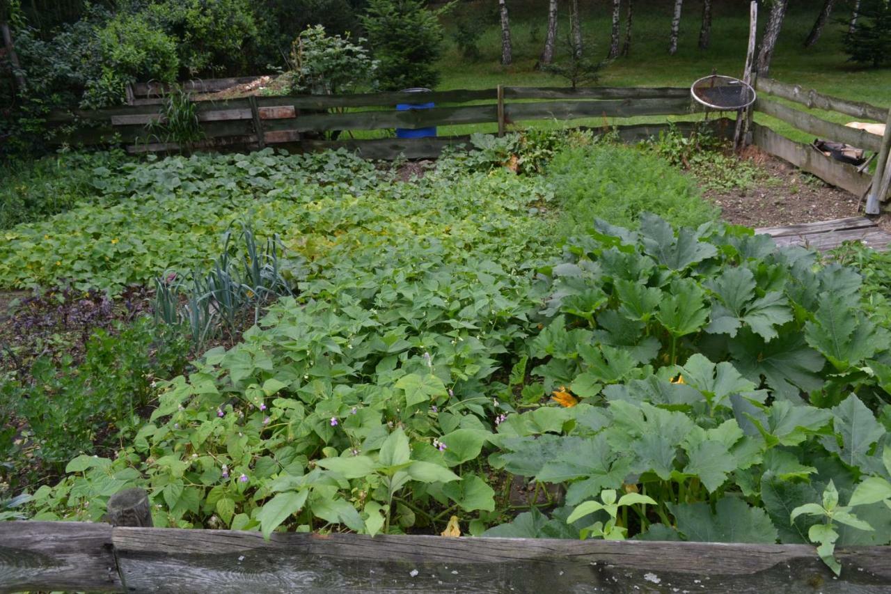 Agroturystyka Teosiowo Pobiedna Esterno foto